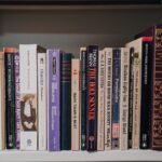 Book Review: The Ministry of Time by Kaliane Bradley