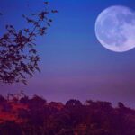 Book Review: Sea of Tranquility by Emily St. John Mandel